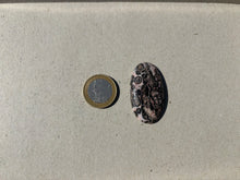 Charger l'image dans la galerie, Jaspe Léopard 9