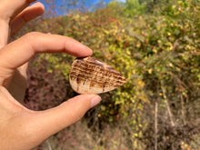 Charger l'image dans la galerie, Calcite 10