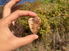 Charger l'image dans la galerie, Calcite 10