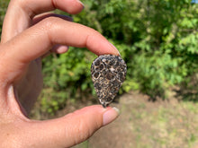 Charger l'image dans la galerie, Jaspe à turritelles 14