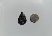 Charger l'image dans la galerie, Jaspe à turritelles 14