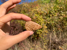 Charger l'image dans la galerie, Calcite 11