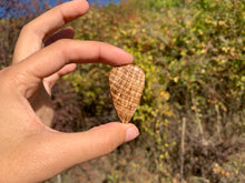 Charger l'image dans la galerie, Calcite 11