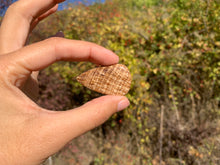 Charger l'image dans la galerie, Calcite 11