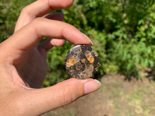Charger l'image dans la galerie, Jaspe à turritelles 15