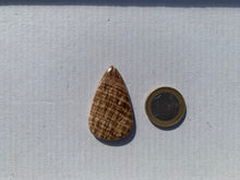 Charger l'image dans la galerie, Calcite 11