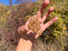 Charger l'image dans la galerie, Calcite 12