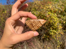 Charger l'image dans la galerie, Calcite 12