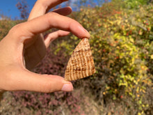 Charger l'image dans la galerie, Calcite 12