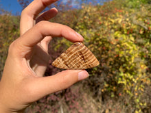 Charger l'image dans la galerie, Calcite 12