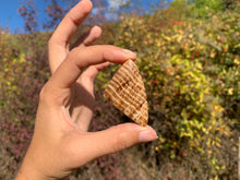 Charger l'image dans la galerie, Calcite 12