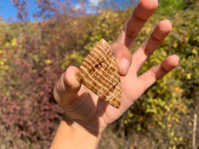 Charger l'image dans la galerie, Calcite 12