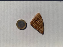 Charger l'image dans la galerie, Calcite 12