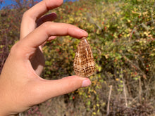 Charger l'image dans la galerie, Calcite 14