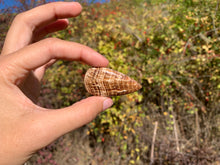 Charger l'image dans la galerie, Calcite 14