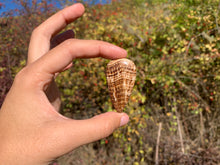 Charger l'image dans la galerie, Calcite 14