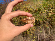 Charger l'image dans la galerie, Calcite 14