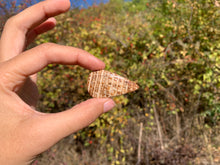 Charger l'image dans la galerie, Calcite 15