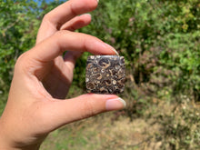 Charger l'image dans la galerie, Jaspe à turritelles 17