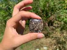 Charger l'image dans la galerie, Jaspe à turritelles 17