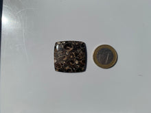 Charger l'image dans la galerie, Jaspe à turritelles 17