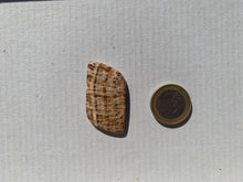 Charger l'image dans la galerie, Calcite 18