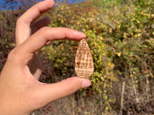 Charger l'image dans la galerie, Calcite 19