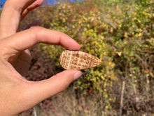 Charger l'image dans la galerie, Calcite 19