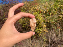 Charger l'image dans la galerie, Calcite 19