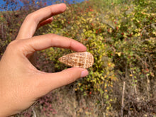 Charger l'image dans la galerie, Calcite 19