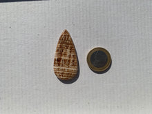 Charger l'image dans la galerie, Calcite 19