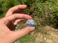 Charger l'image dans la galerie, VENDU Abalone 36