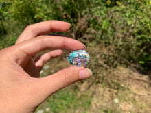 Charger l'image dans la galerie, VENDU Abalone 36
