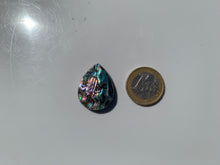 Charger l'image dans la galerie, VENDU Abalone 36