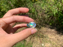 Charger l'image dans la galerie, VENDU Abalone 37