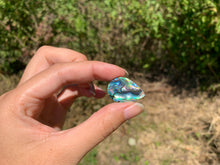 Charger l'image dans la galerie, VENDU Abalone 38