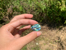 Charger l'image dans la galerie, VENDU Abalone 38