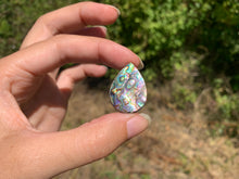 Charger l'image dans la galerie, VENDU Abalone 39