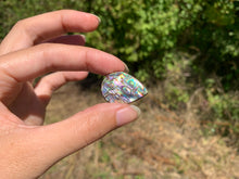 Charger l'image dans la galerie, VENDU Abalone 39