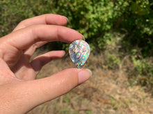 Charger l'image dans la galerie, VENDU Abalone 39