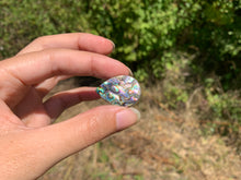 Charger l'image dans la galerie, VENDU Abalone 39