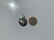 Charger l'image dans la galerie, VENDU Abalone 39