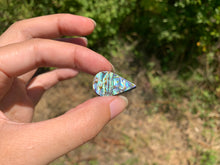 Charger l'image dans la galerie, VENDU Abalone 40