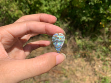 Charger l'image dans la galerie, VENDU Abalone 40