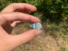 Charger l'image dans la galerie, VENDU Abalone 40