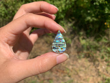 Charger l'image dans la galerie, VENDU Abalone 40