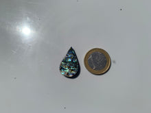 Charger l'image dans la galerie, VENDU Abalone 40