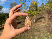 Charger l'image dans la galerie, Calcite 20