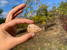 Charger l'image dans la galerie, Calcite 20