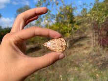 Charger l'image dans la galerie, Calcite 20